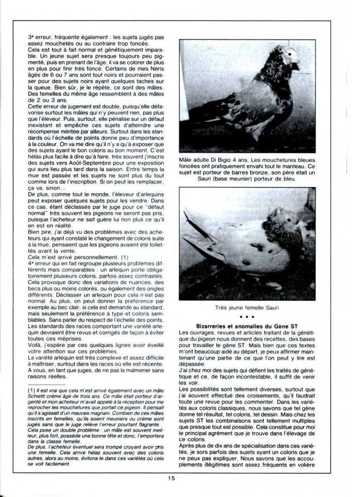 Article les sottobanca arlequins Colombiculture n°67 mars 1990-2 Par Jean Clavier